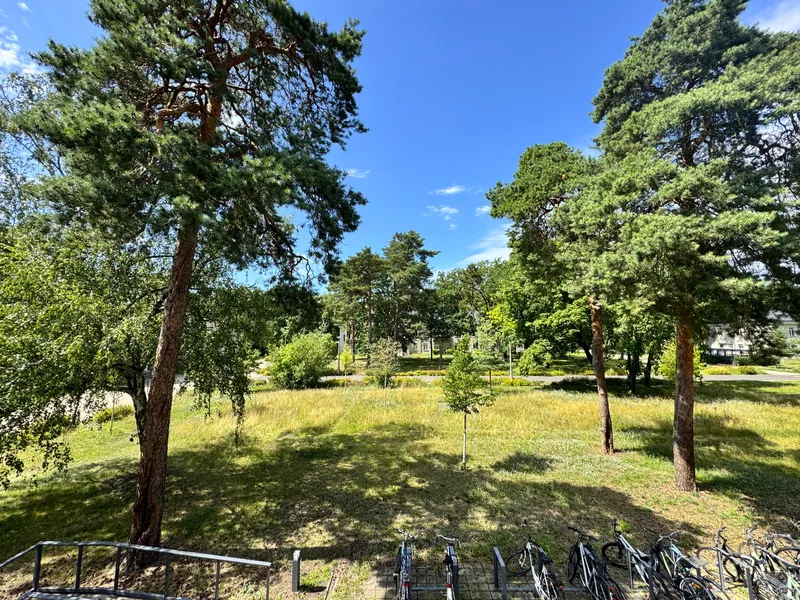 Zwischen Licht und Natur: Stilvolle 2-Zimmer-Wohnung mit Balkonidylle — photo 1